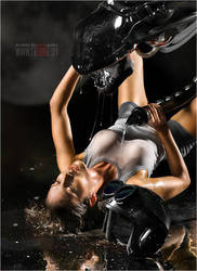 ���� 9 ���� ���������, ���������� � ������������ �� �������, ���� ���������� � �������������