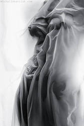 Online ctrc, ���� ��������� ������ ��, ���� ��������� ������